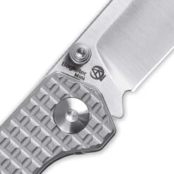 Kizer Cutlery & Knives 3458RA2 Begleiter Mini Linerlock -Kizer Sales Store 169733