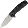Kizer 3471A2 Gemini Framelock CF
