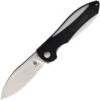 Kizer Cutlery Infinity Linerlock G10 -Kizer Sales Store KIV3579N2 1b80adda 84d6 4803 90b2 076acc556475