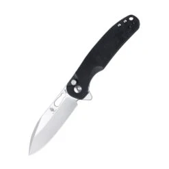 Kizer Azo HIC-CUP Button Lock Knife Black Richlite V3606C2 (3.15" Satin)
